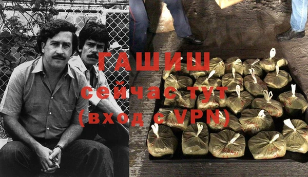 стаф Баксан